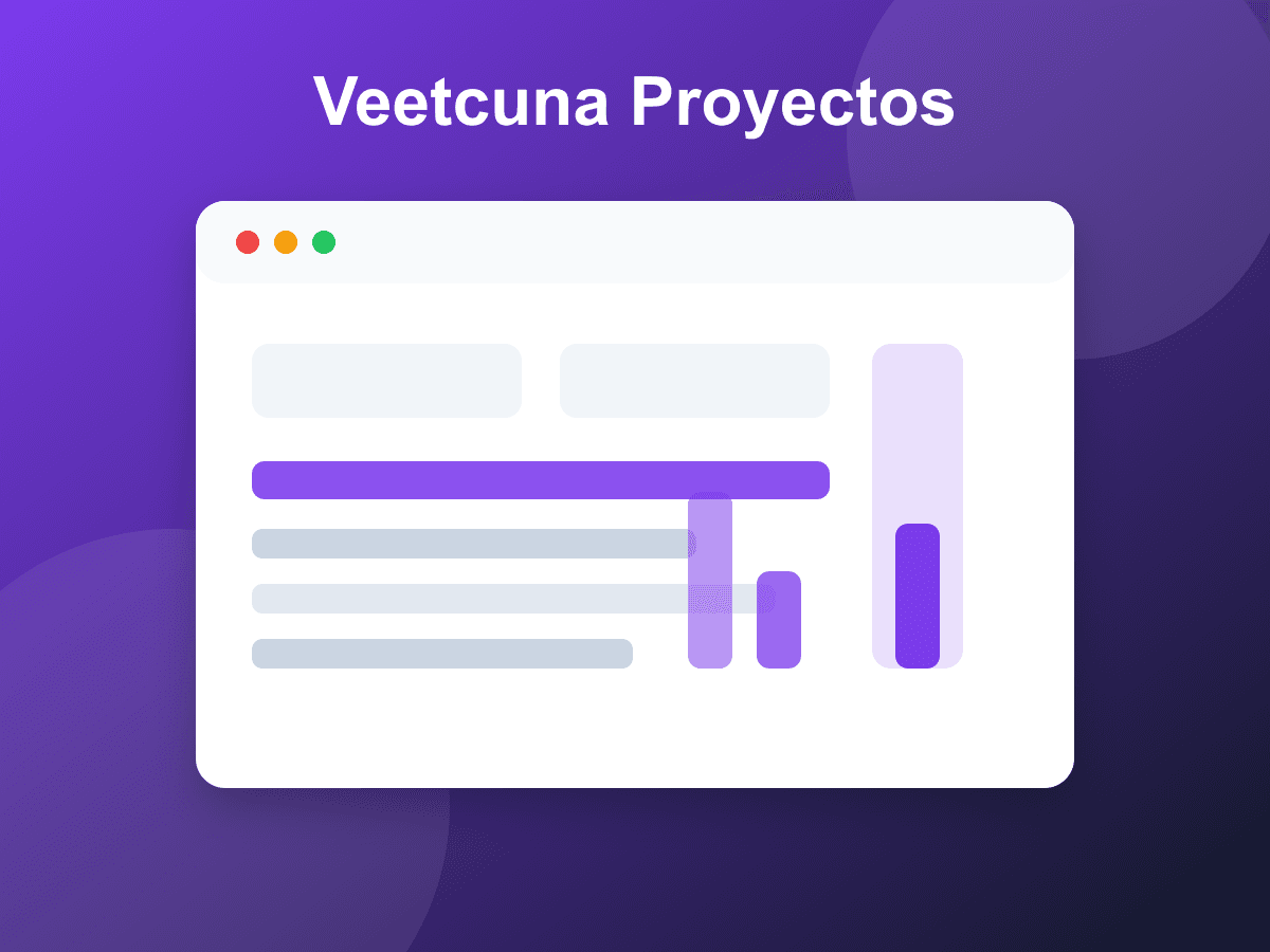Vista general de Veetcuna Project Manager